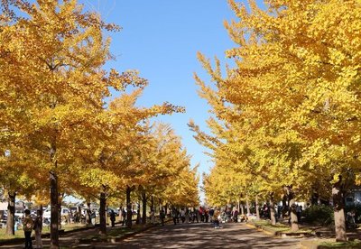 🏞️ 카조 하나사키 공원 이미지 2